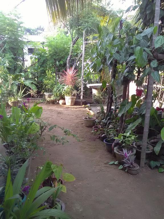 Gem Villa Weligama Exteriér fotografie