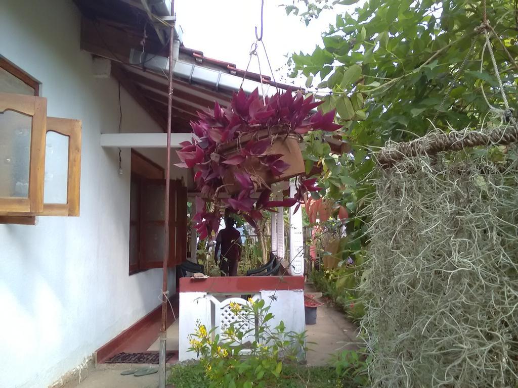 Gem Villa Weligama Exteriér fotografie